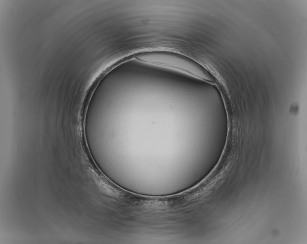 X0000090860789200708171604