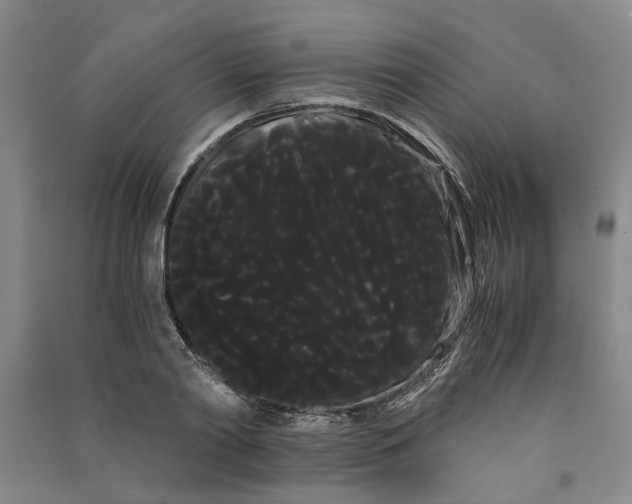 X0000090860790200708171604