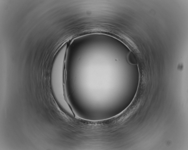 X0000090860793200708171604