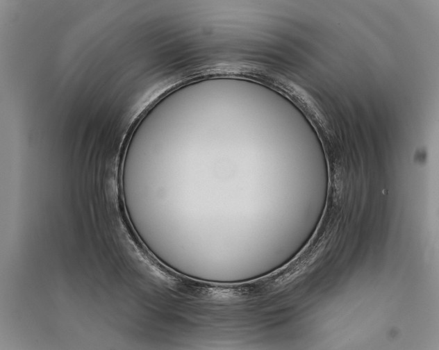 X0000090860794200708171604