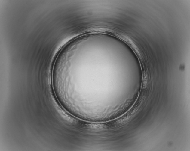 X0000090860795200708171604