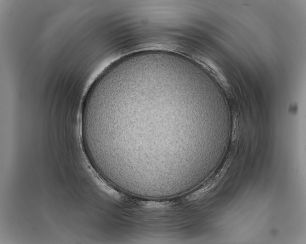X0000090860796200708171604