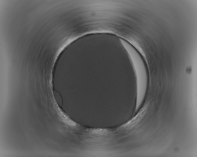 X0000090860797200708171604
