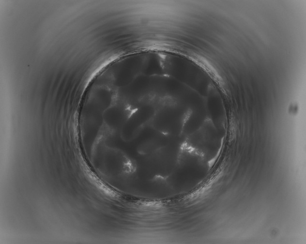 X0000090860798200708171604
