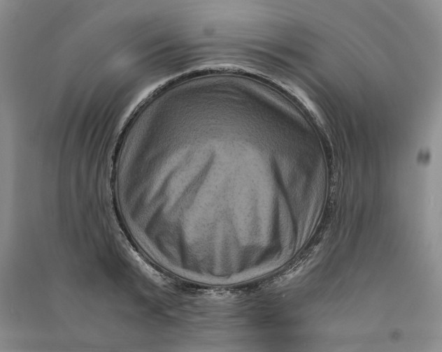 X0000090860799200708171604