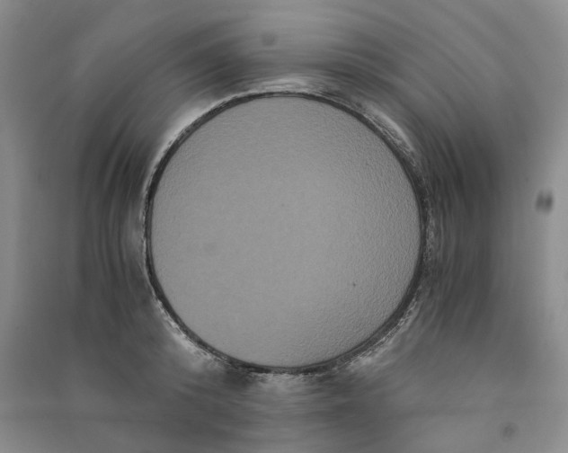 X0000090860800200708171604