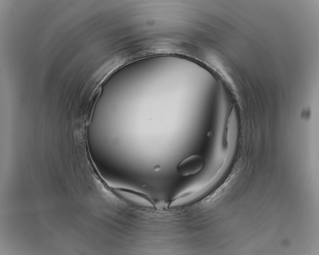 X0000090860801200708171604