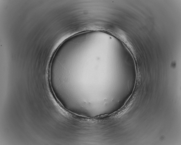 X0000090860803200708171604