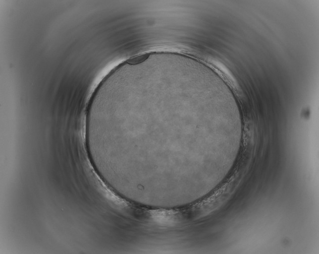X0000090860804200708171604