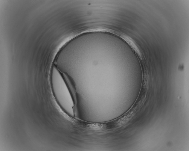 X0000090860805200708171604