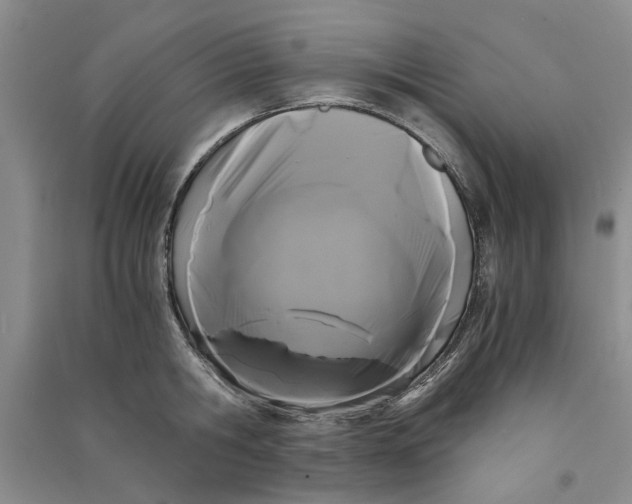 X0000090860806200708171604