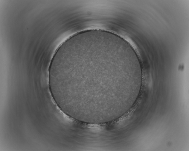 X0000090860807200708171604