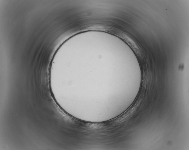 X0000090860808200708171604