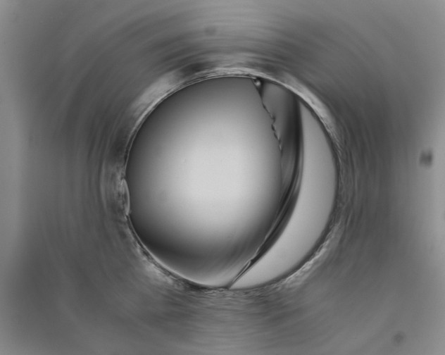 X0000090860809200708171604