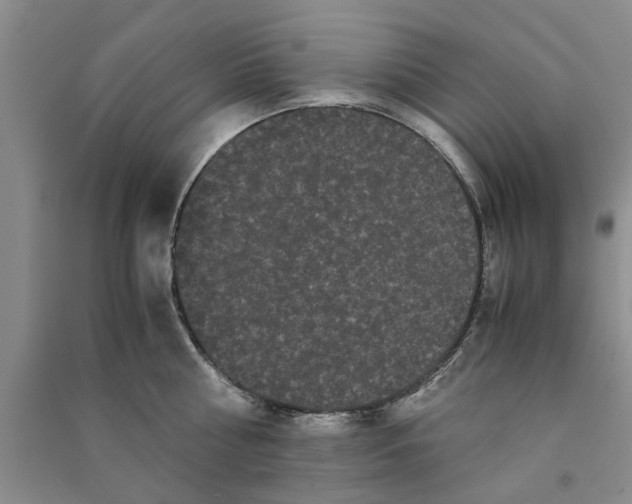 X0000090860810200708171604