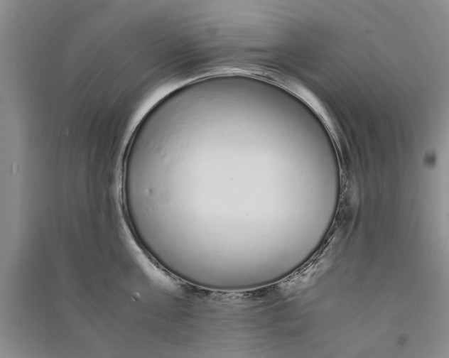 X0000090860811200708171604