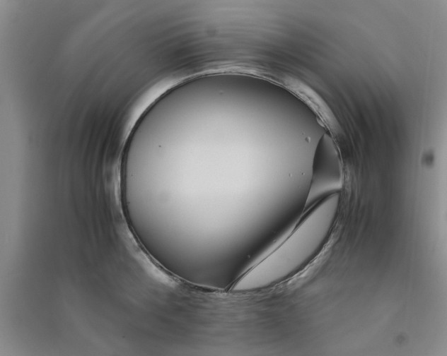 X0000090860812200708171604