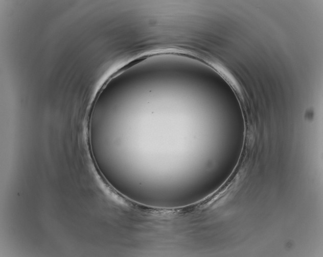 X0000090860813200708171604
