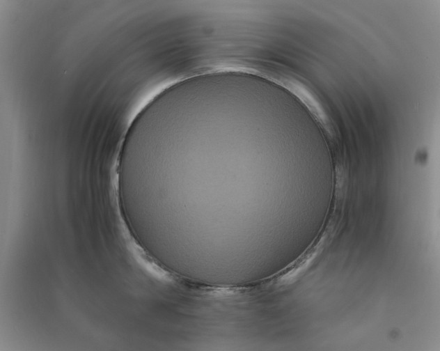X0000090860814200708171604