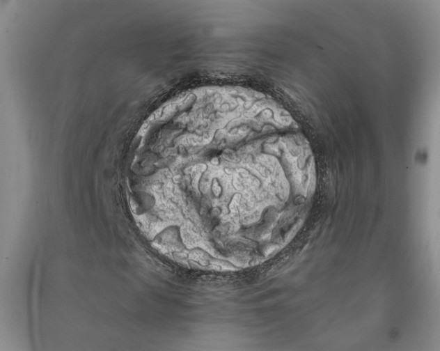 X0000090860817200708171603