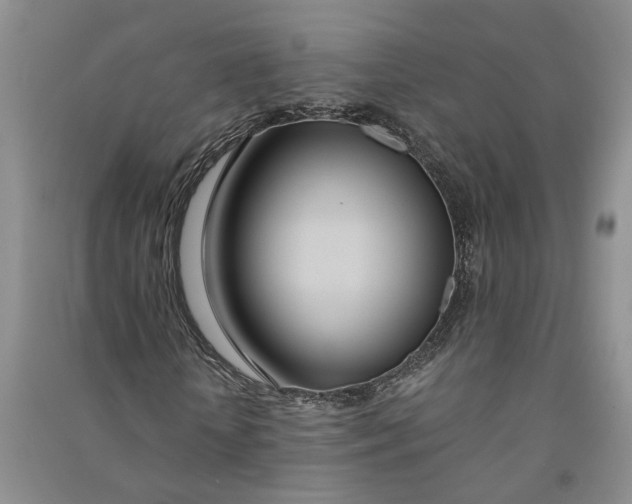 X0000090860818200708171603