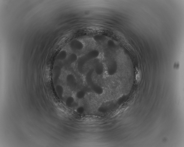 X0000090860819200708171603