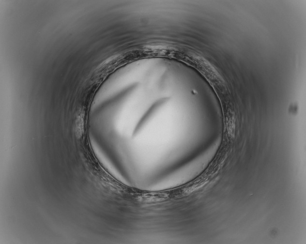 X0000090860821200708171603