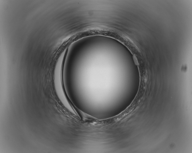 X0000090860822200708171603