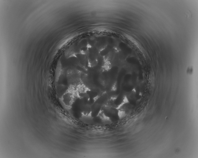 X0000090860823200708171603