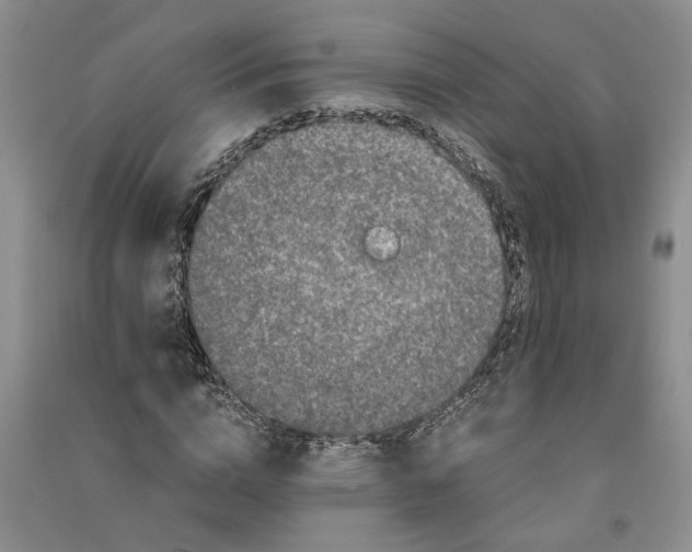 X0000090860824200708171603