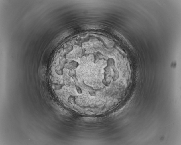 X0000090860825200708171603