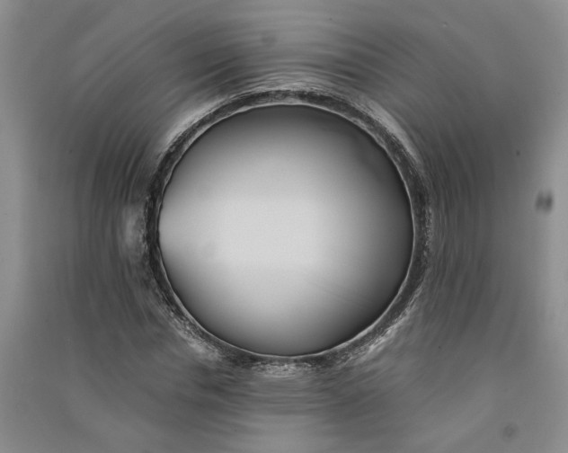 X0000090860826200708171603