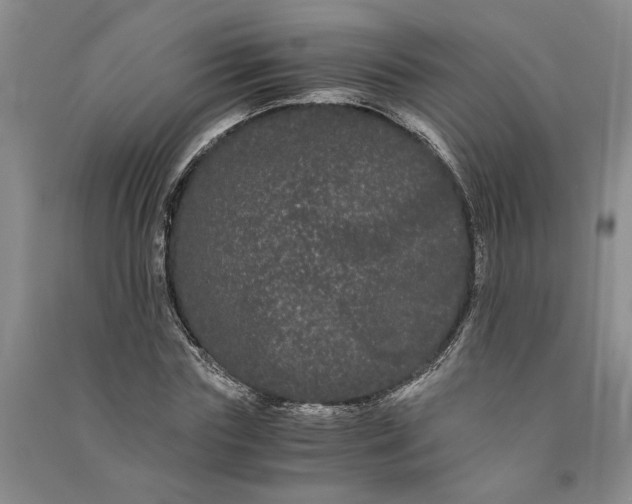 X0000090860827200708171603