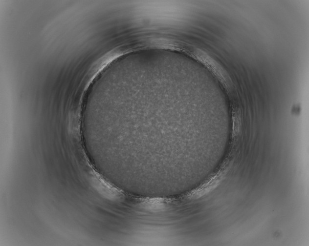 X0000090860828200708171603