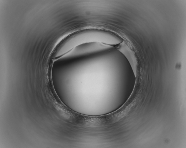 X0000090860830200708171603
