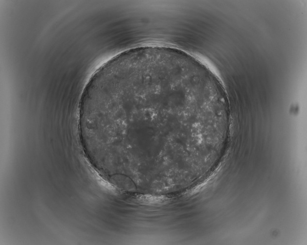 X0000090860831200708171603