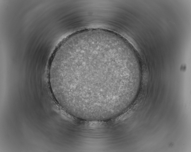 X0000090860832200708171603