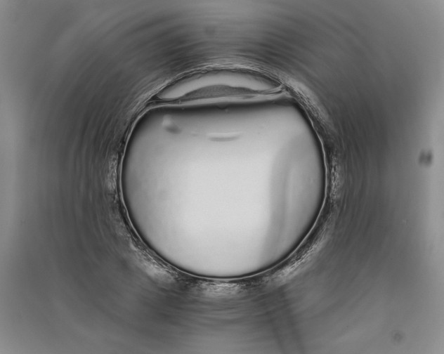 X0000090860833200708171603