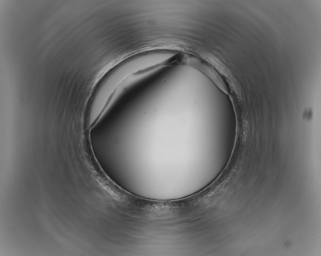 X0000090860834200708171603