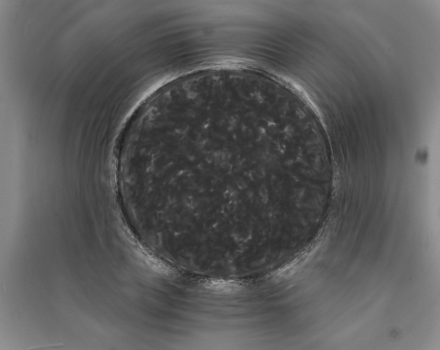 X0000090860835200708171603