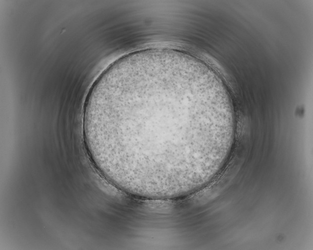 X0000090860836200708171603