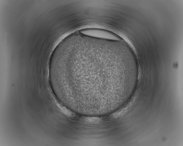 X0000090860837200708171603