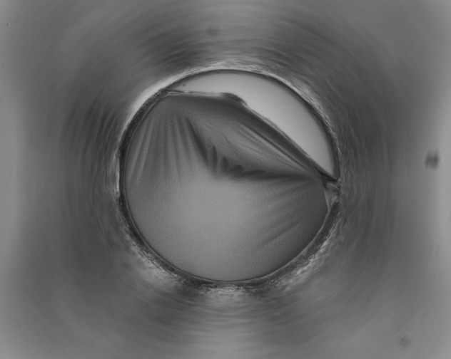 X0000090860838200708171603