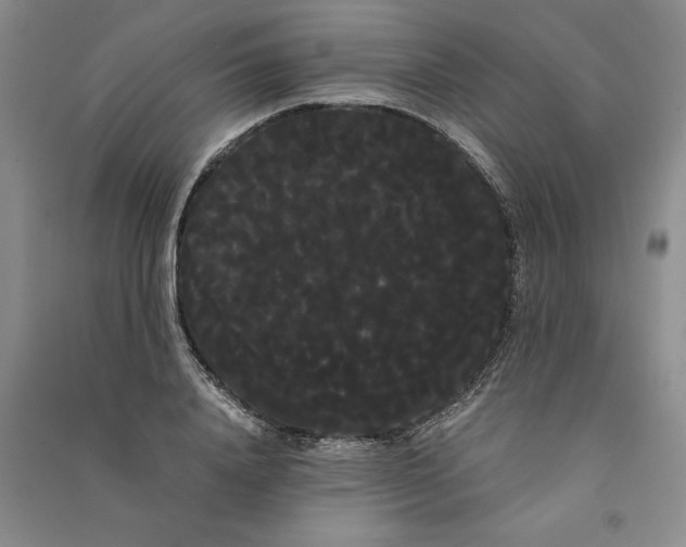 X0000090860840200708171603