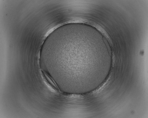 X0000090860842200708171603