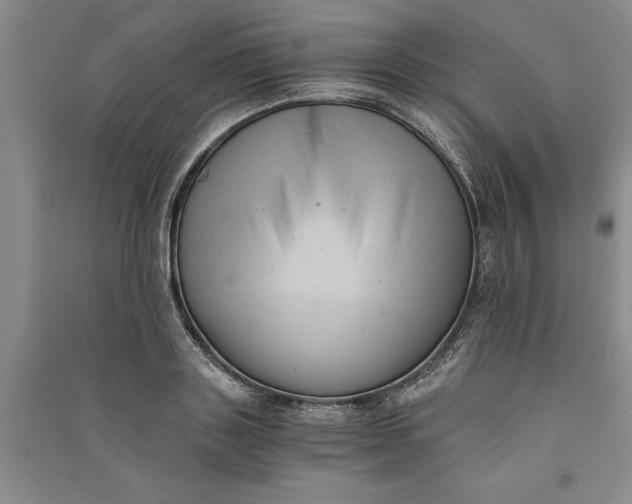 X0000090860843200708171603