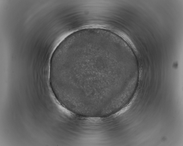 X0000090860844200708171604