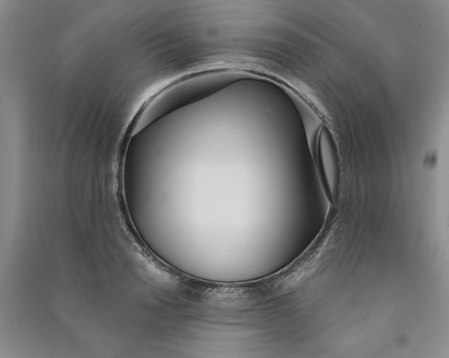 X0000090860846200708171604