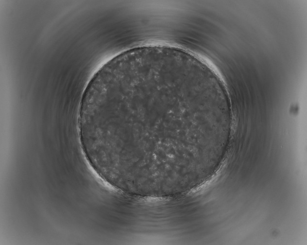 X0000090860847200708171604