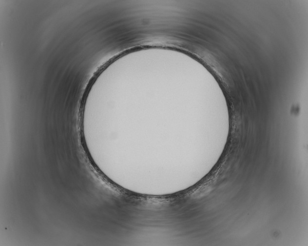 X0000090860848200708171604